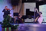 Музыкальная гостиная