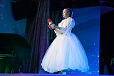 Новогодний МЭЦ