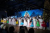 Новогодний раут - 2024