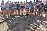 Краснодарская смена - 2018