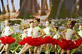 концерт "Нас учили быть птицами"