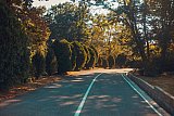 Грандиозный пленер в Орленке