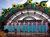 День города Краснодара 2014