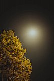 Грандиозный пленер в Орленке