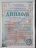 "Славянские встречи"- 2024