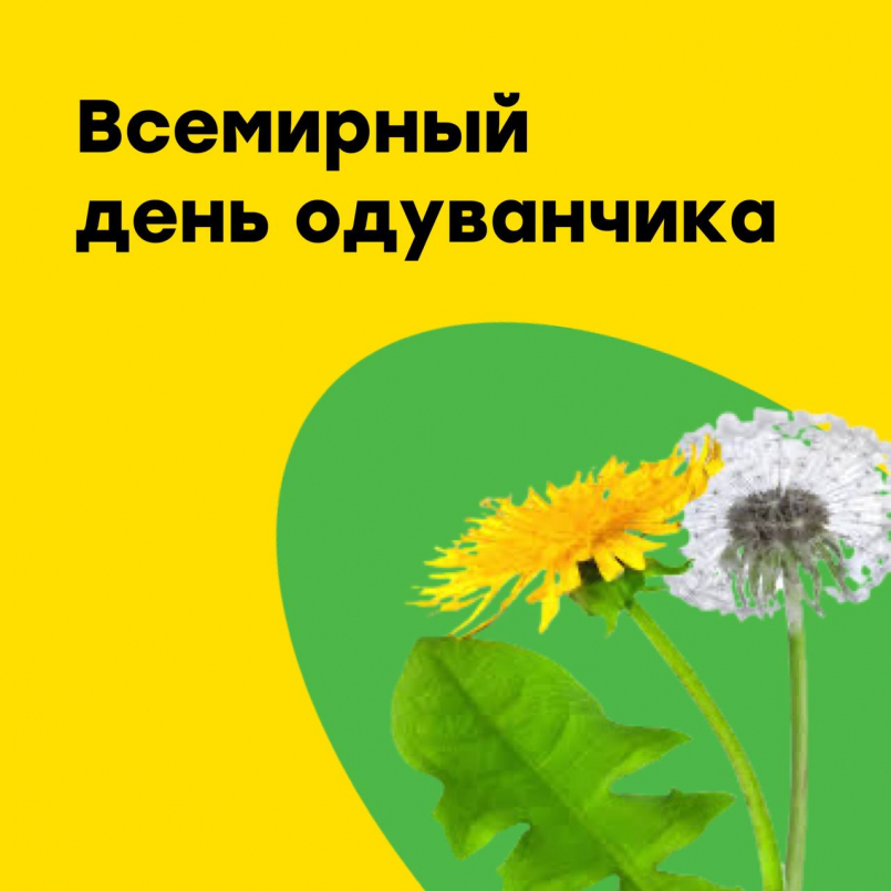 Всемирный день одуванчика
