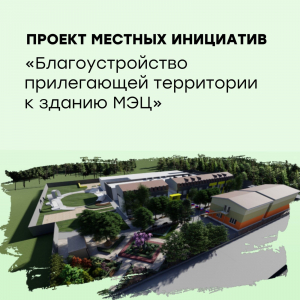 Проект местных инициатив