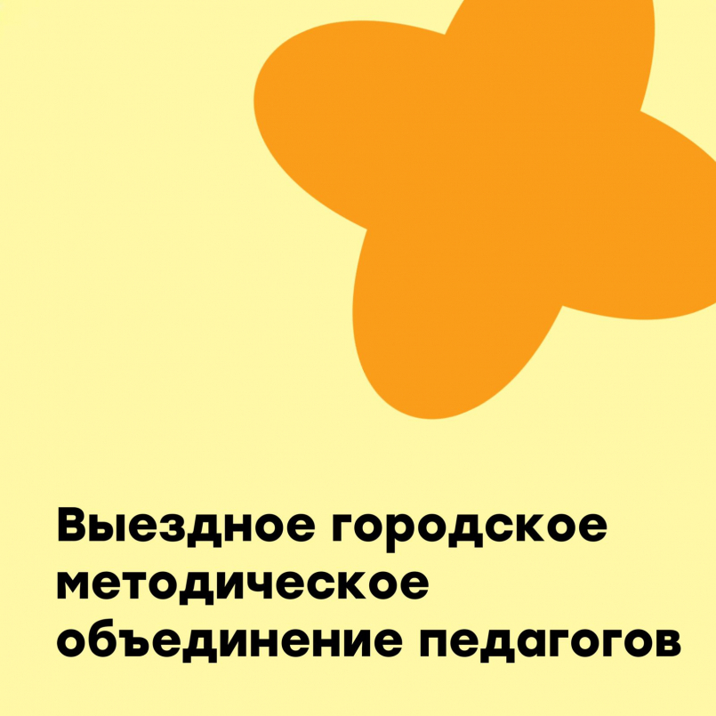 Выездное городское МО педагогов