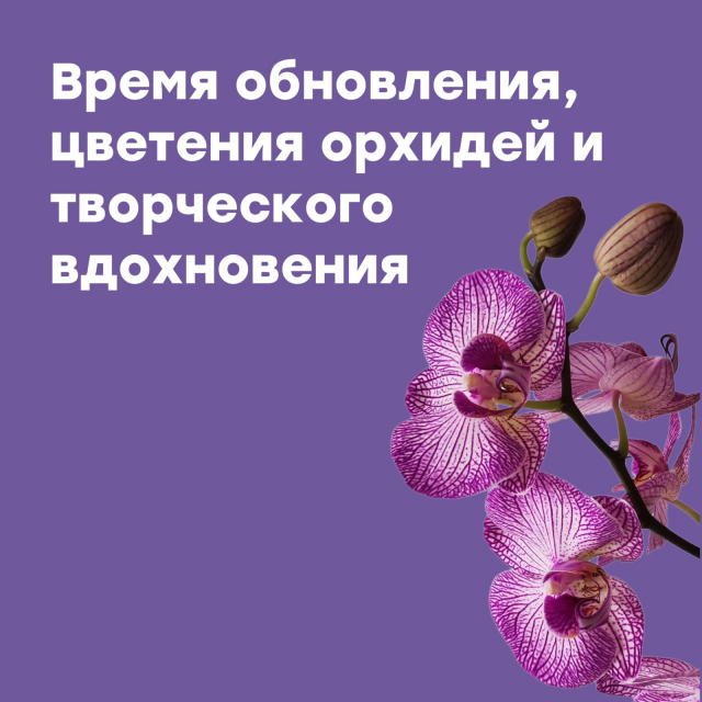 Время цветения и обновления