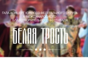 Воспитанники МЭЦ примут участие в Международном благотворительном фестивале «Белая трость»