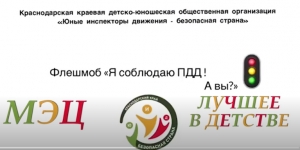 Тематический флешмоб «Я соблюдаю Правила Дорожного Движения. А вы?»