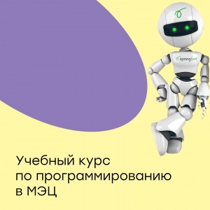 Учебный курс по программированию в МЭЦ