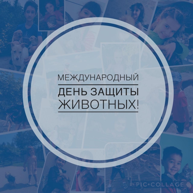 4-го октября – мы будем отмечать Международный день животных