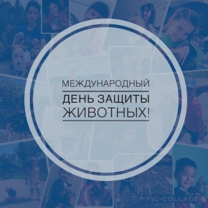4-го октября – мы будем отмечать Международный день животных