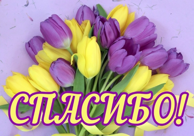 Благодарность педагогам отделения "Элита"